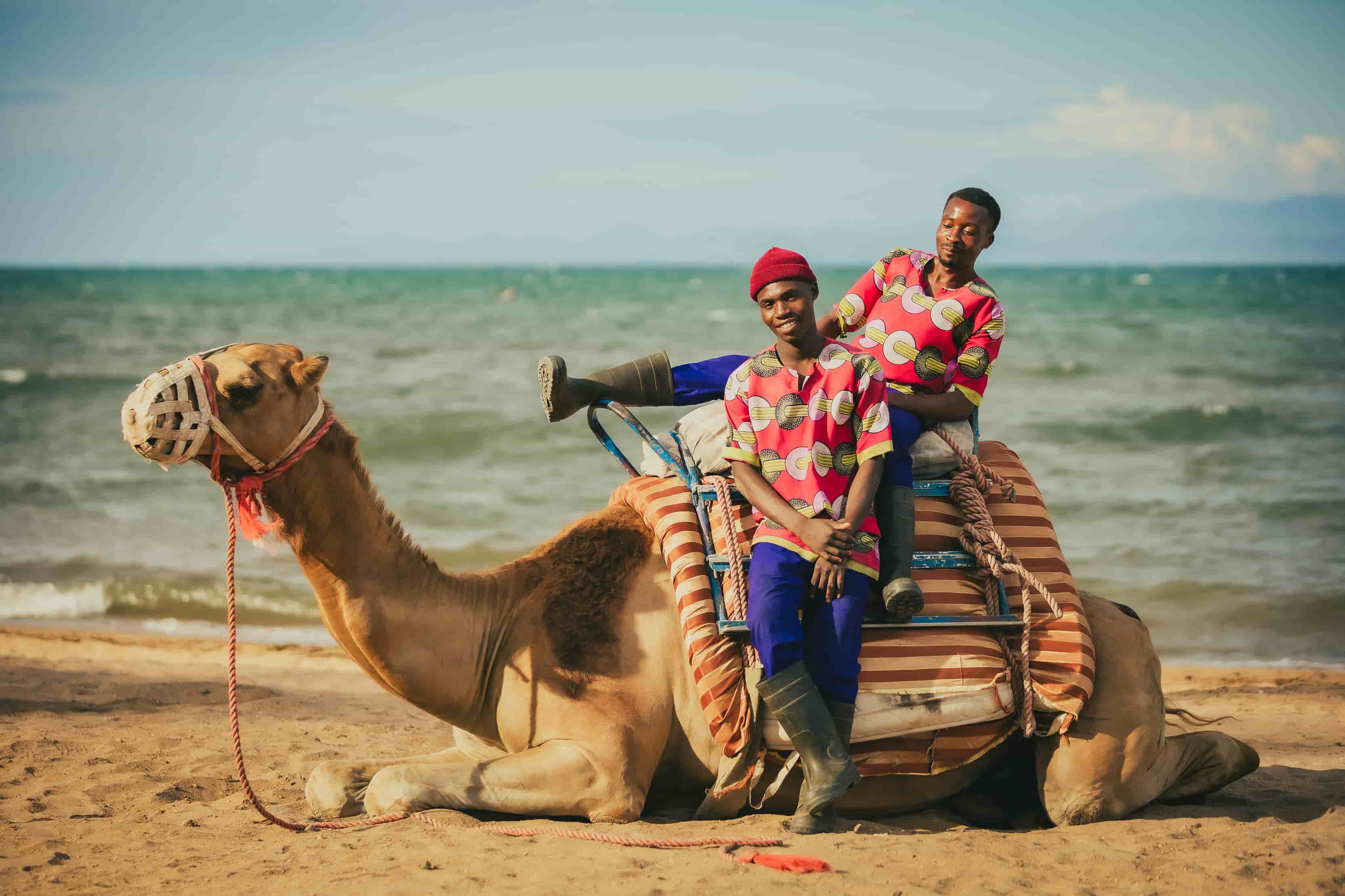 camel sitting on the beach with 1 camel tamer standing next to it and the other sitting ontop of the camel